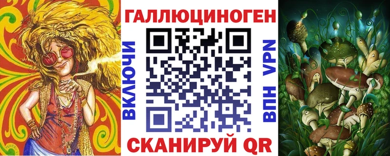 Галлюциногенные грибы Psilocybine cubensis  Купить закладки  Стародуб 